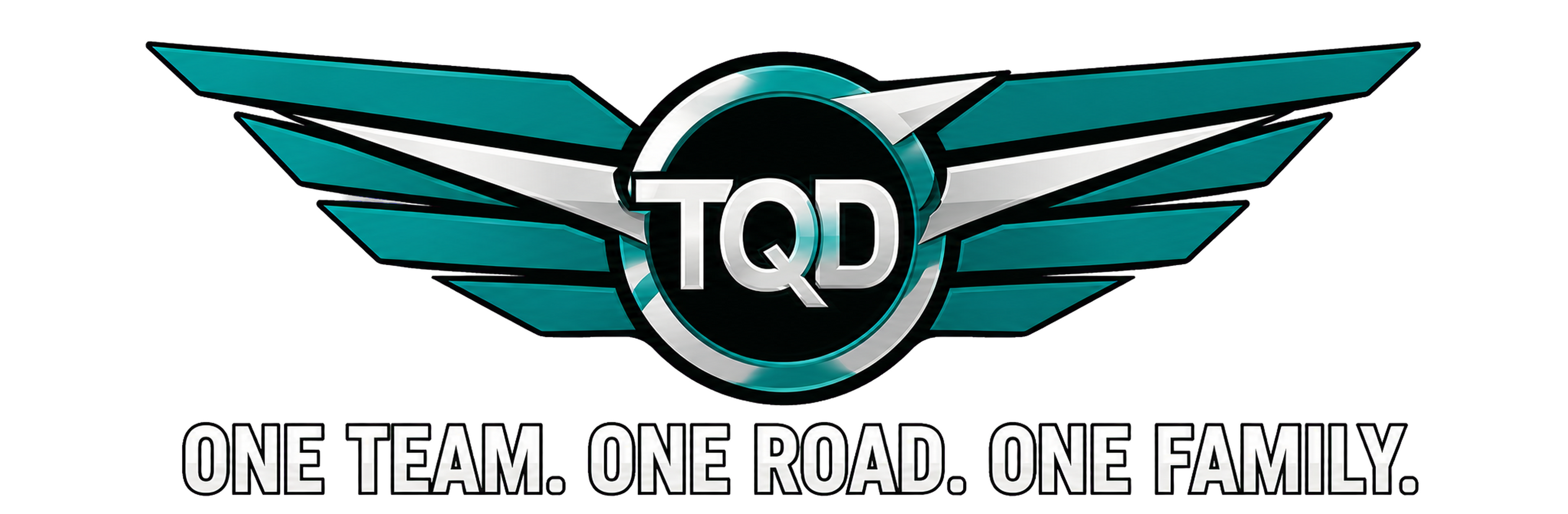 The Quick Delivery TQD VTC - One Team. One Road. One Family.